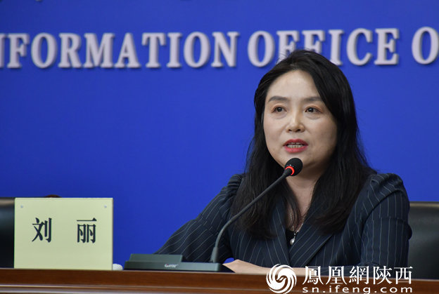 铜川市委常委、组织部部长刘丽